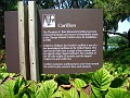 Botanical Gardens 2010 0360